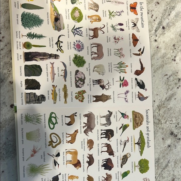 Born 1,000 Things in Nature Book - Colorful Edition - Picture 6 of 7